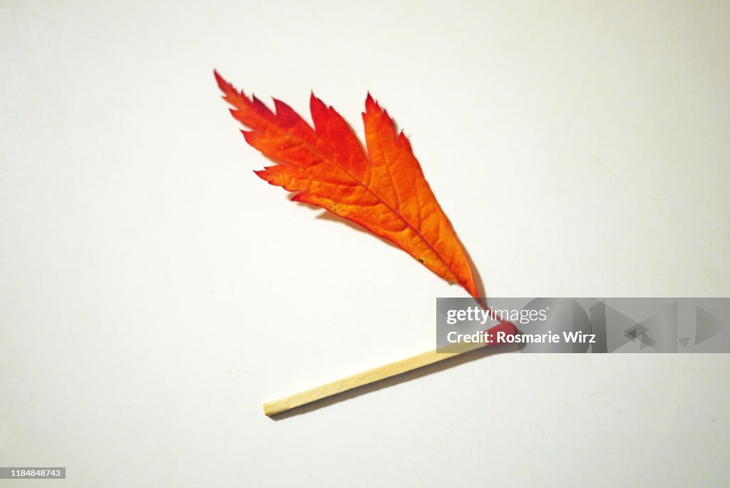 Single match with red flame on white surface