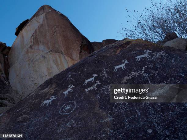 Pectoglyph Rabbit 62 Grapevine Canyon Petroglyphs Stock Photos, High-Res Pictures, and ...