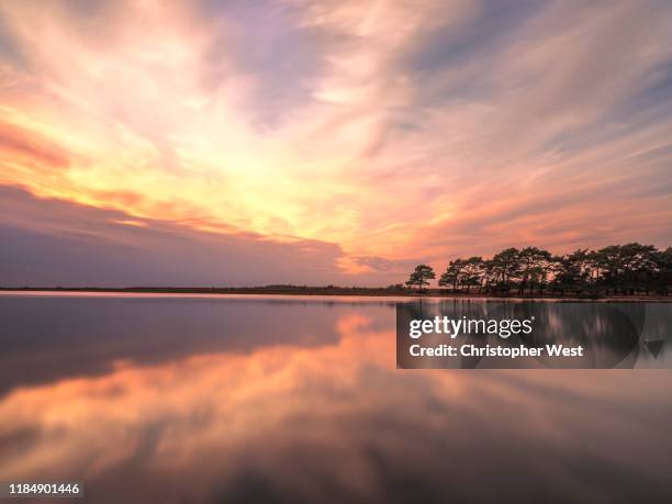 New Forest West Photos and Premium High Res Pictures Getty Images
