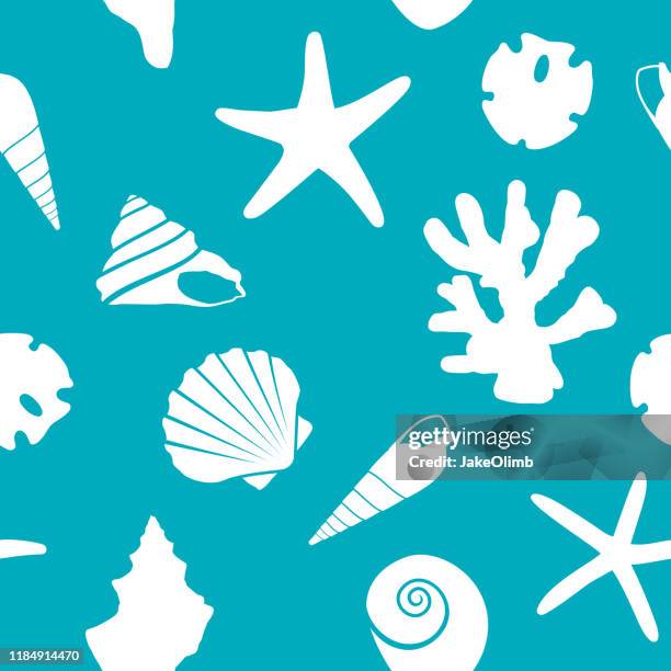 seashell pattern - scallop pattern stock illustrations