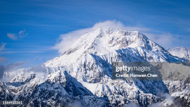 mount denali - denali stock pictures, royalty-free photos & images