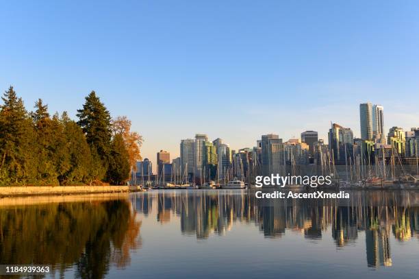 view of vancouver from stanley park - coal harbour stock pictures, royalty-free photos & images