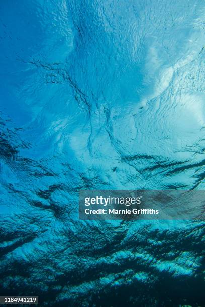 abstract water surface from below - blue sea photos et images de collection