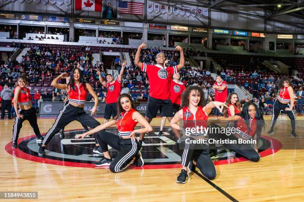 Sauga Raptors Sauga Photos and Premium High Res Pictures - Getty Images
