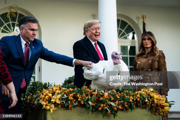 President Donald J. Trump, with First Lady Melania Trump, pardons Butter during a presentation of the National Thanksgiving Turkey in the Rose Garden...