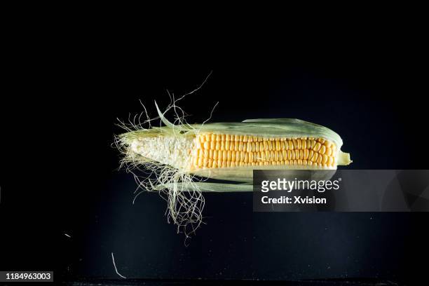 corn cob flying in mid air captured with high speed sync. - husk stockfoto's en -beelden