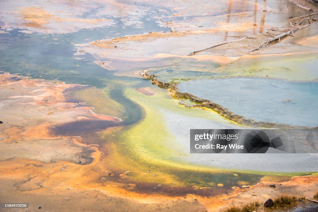 Hot Spring Stream With Rocks Colourful Stream Through Hot Springs High-Res Stock Photo - Getty Images