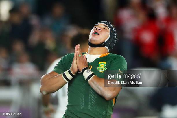 Cheslin Kolbe of South Africa celebrates after scoring his team's second try during the Rugby World Cup 2019 Final between England and South Africa...