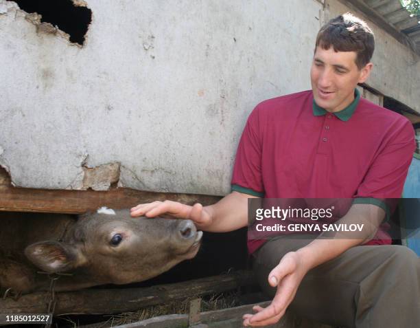 Leonid Stadnyk strokes a calf at his house in Podoliantsi village, 180 km from Kiev, 11 August 2007. Leonid Stadnyk, a giant veterinary surgeon from...