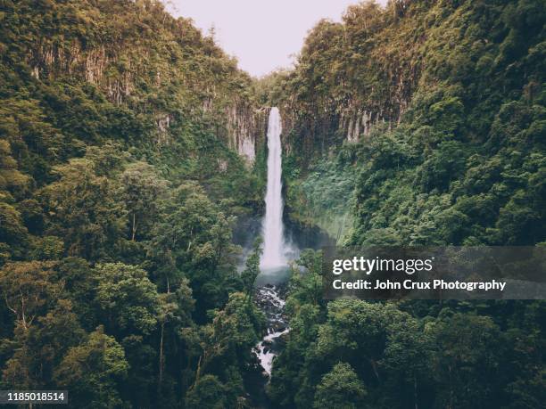 cairns waterfall - cairns stock-fotos und bilder