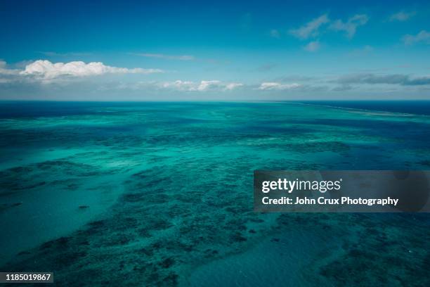 the great barrier reef helicopter view - australian outback animals stock pictures, royalty-free photos & images