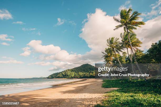 mission beach palms - tropical beach australia stock pictures, royalty-free photos & images