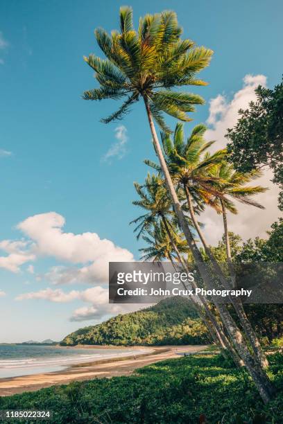 mission beach queensland - mission beach - queensland stock pictures, royalty-free photos & images