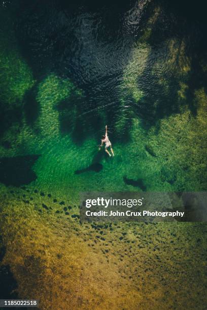 nudist swimmer - cairns aerial foto e immagini stock