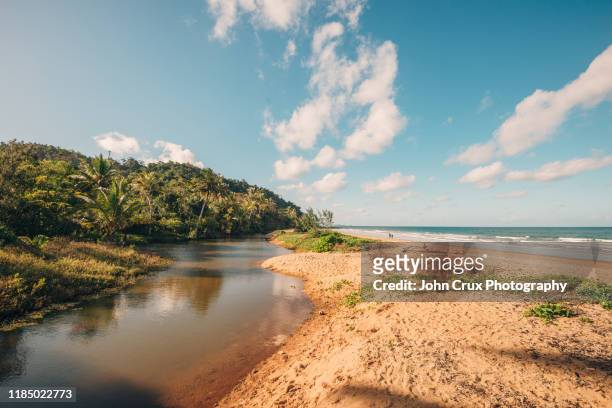 mission beach australia - mission beach queensland stock pictures, royalty-free photos & images