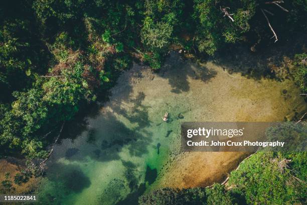 tully swimming hole - australian rainforest photos et images de collection