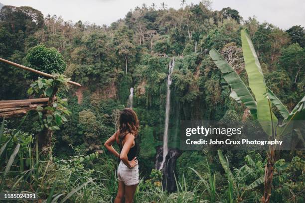 bali waterfall tourist - bali bildbanksfoton och bilder