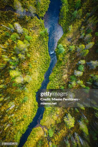 top-down aerial view of a narrow river flowing through remote marshland in the finnish lapland - inari finland bildbanksfoton och bilder