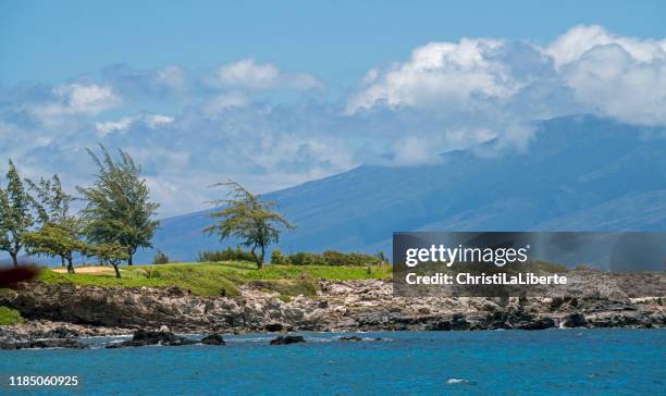 kapalua, maui - lanai stock pictures, royalty-free photos & images