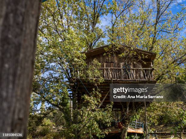 abandoned wooden tree house in the forest in autumn - creepy shack stock pictures, royalty-free photos & images