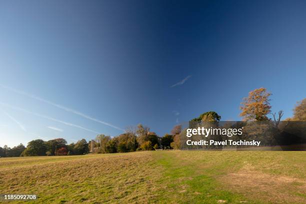 1066 battle of hastings battlefield, england, 2018 - battlefield 個照片及圖片檔