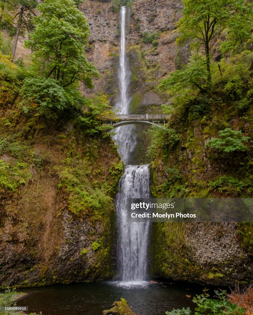 Multnomah Falls - Oregon 005