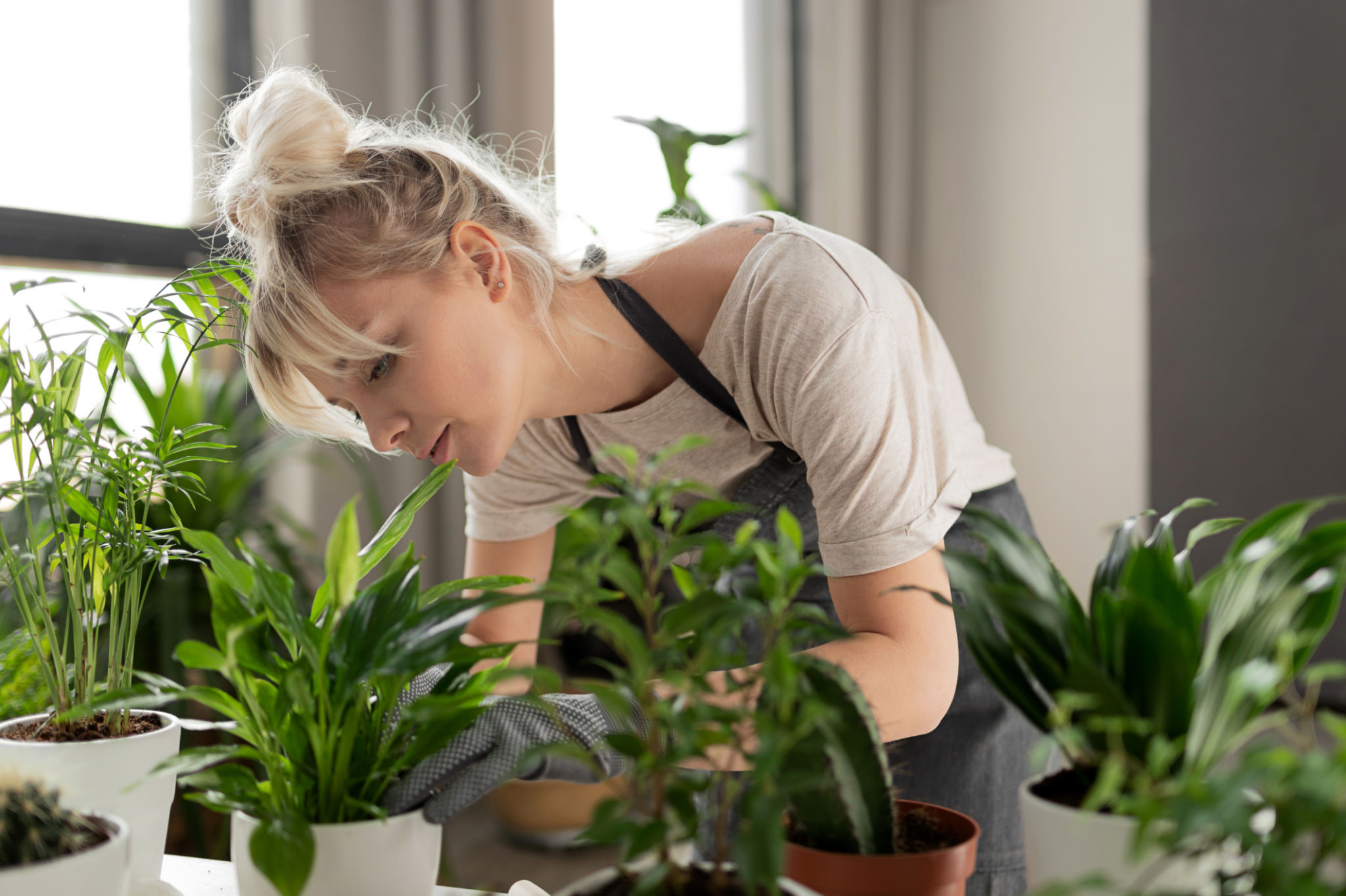 indoor gardening