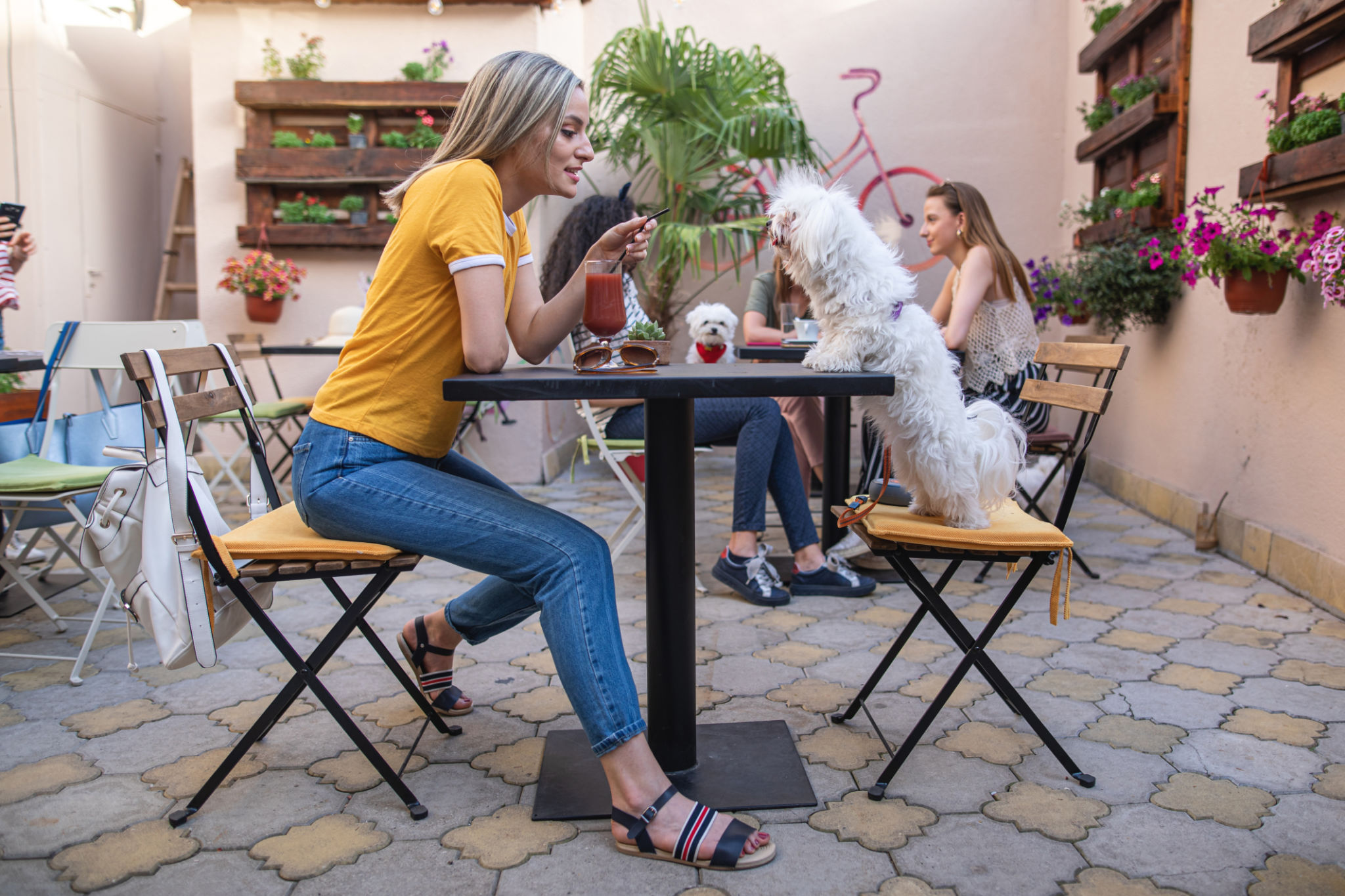 dog friendly restaurant