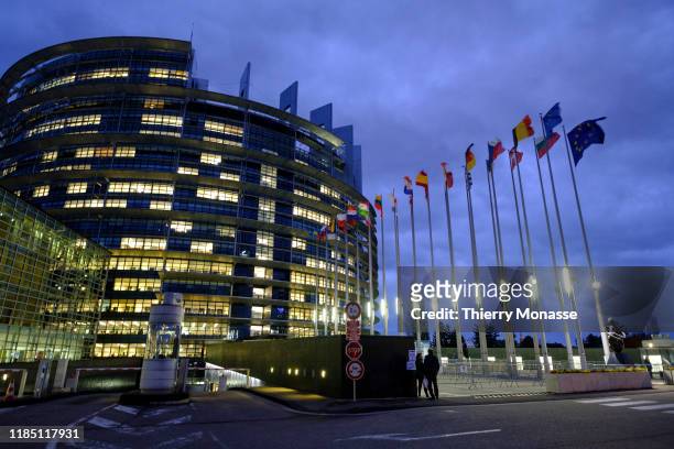 The flags of the member states of the European Union blow in the wind at dusk in front of the European Parliament on November 27, 2019 in Strasbourg,...