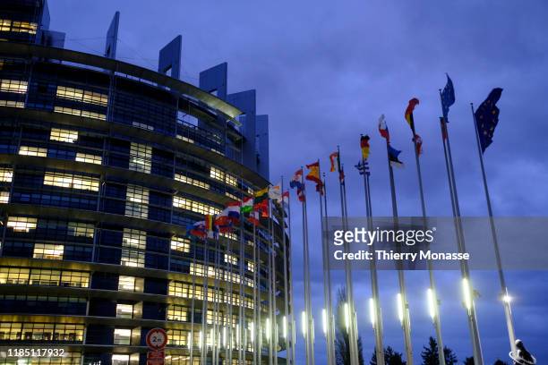 The flags of the member states of the European Union blow in the wind at dusk in front of the European Parliament on November 27, 2019 in Strasbourg,...