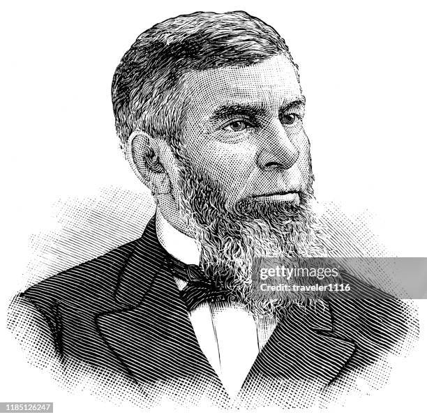 morrison waite - chief justice of the supreme court - morrison stock illustrations