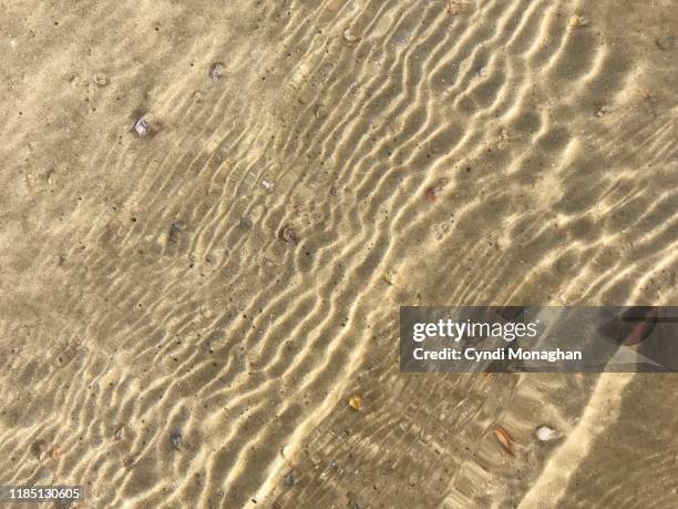 Shallow View Shallow Water Top View Photos and Premium High Res Pictures - Getty Images