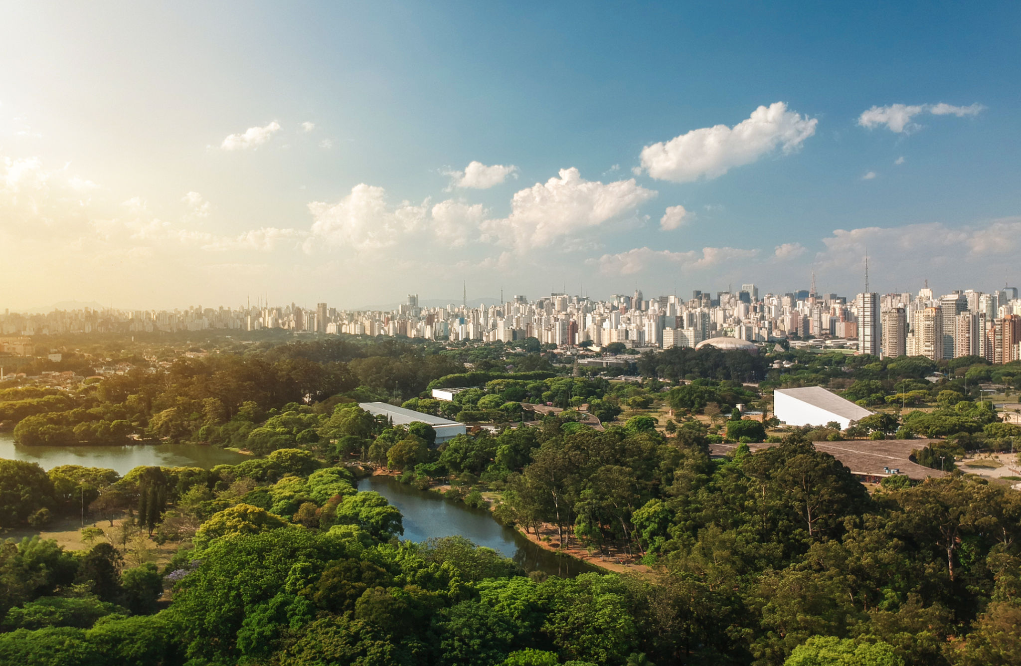 city vs nature