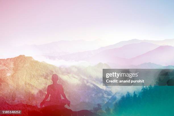 yoga in himalayas - マインドフルネス ストックフォトと画像