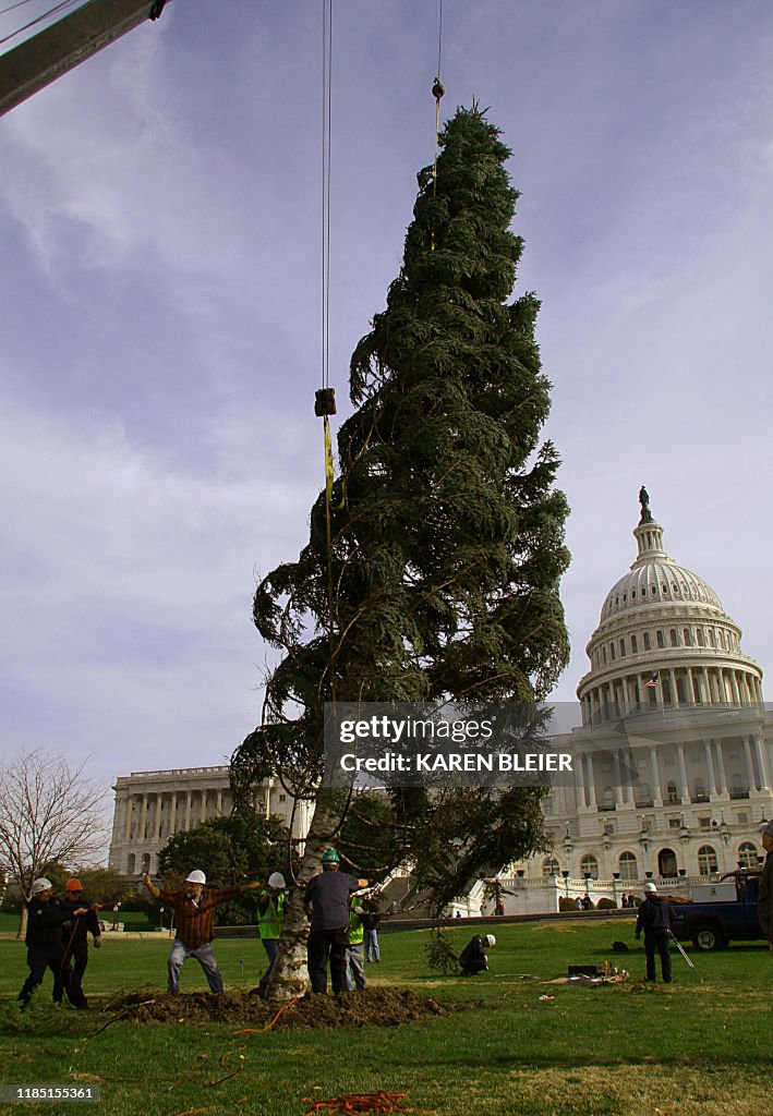 US-CAPITOL-XMAS TREE
