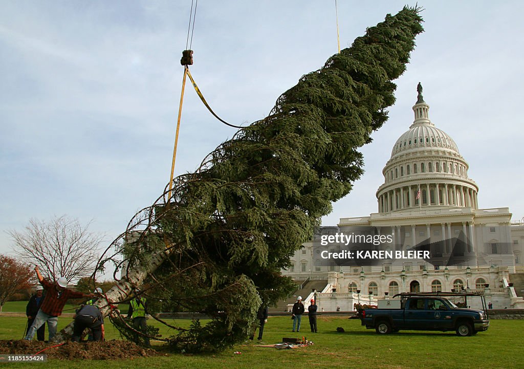 US-CAPITOL-XMAS TREE
