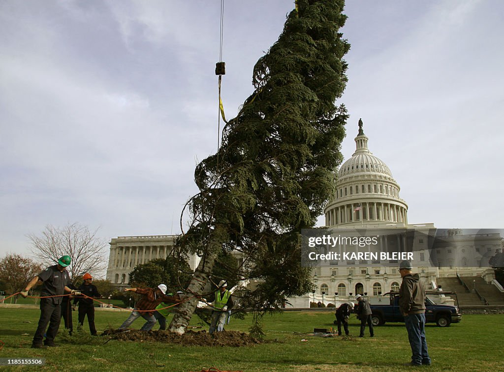US-CAPITOL-XMAS TREE