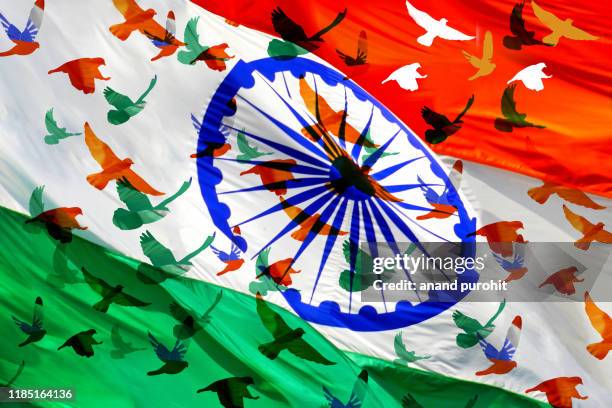 indian independence day - indian republic day - indian national flag - republic day stock-fotos und bilder