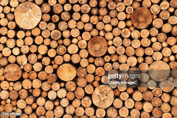 stacking wooden logs - firewood stock pictures, royalty-free photos & images