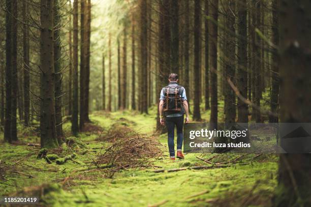 en soloresenär njuter av den skandinaviska naturen - forrest bildbanksfoton och bilder