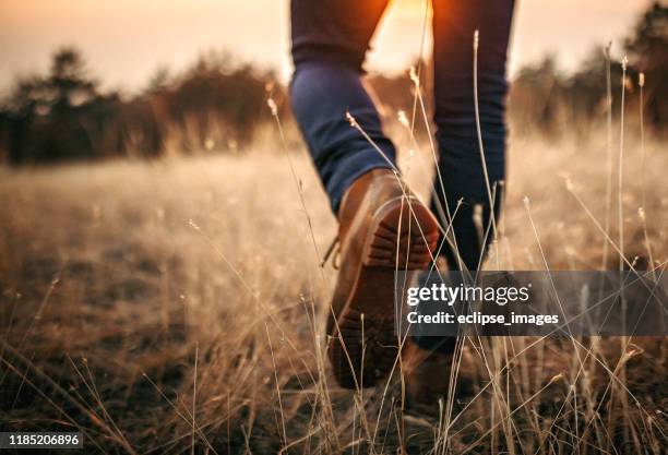 uomo che cammina nella natura - shoes man foto e immagini stock