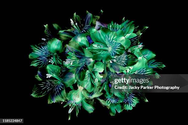 close-up image of a floral art display of alstroemeria flowers also known as peruvian lilies arranged on a background - kaleidoscope stock pictures, royalty-free photos & images