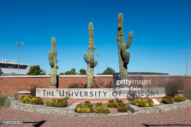 Sign in front of some cacti mark one of the entrances to the University of Arizona, in Tucson, Arizona. The University was founded in 1885 and was...