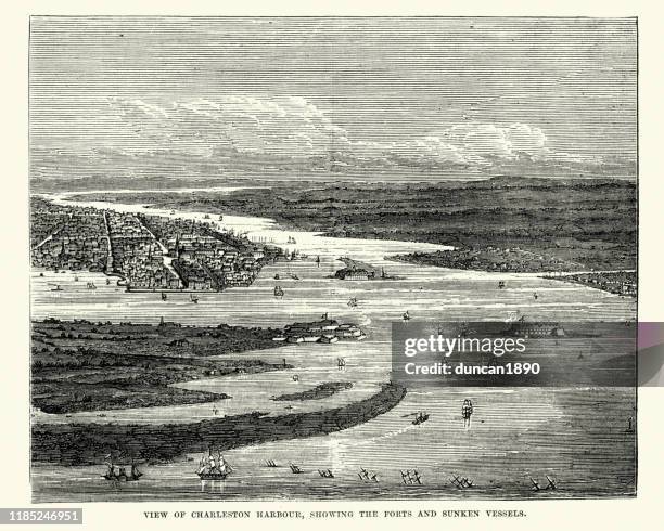 charleston harbour, showing forts and sunken vessels, 19th century - fort sumter stock illustrations