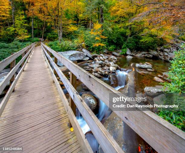 bridge over autumn stream - charlotte wood foto e immagini stock