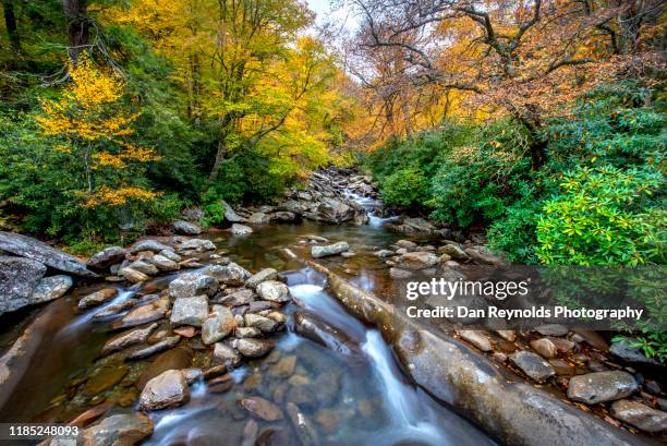 autumn stream - charlotte - north carolina foto e immagini stock