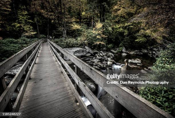 bridge over autumn stream - charlotte north carolina spring stock pictures, royalty-free photos & images