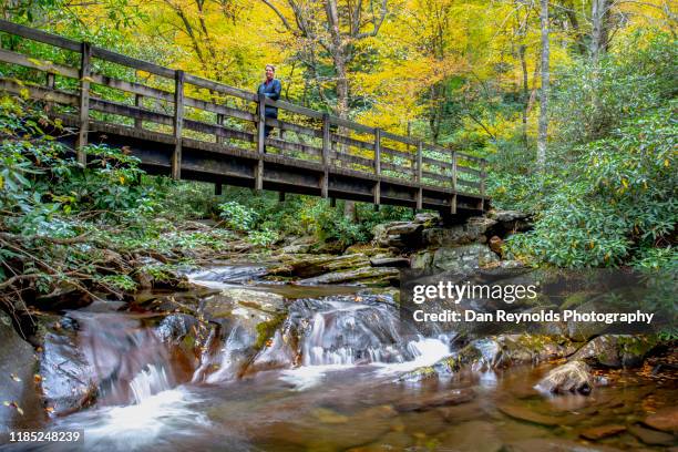 mountain waterfalls and stream with model - great smoky mountains national park stock-fotos und bilder