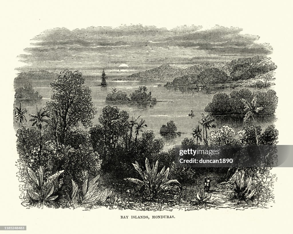 Blick auf die Bay Islands, Honduras, 19. Jahrhundert