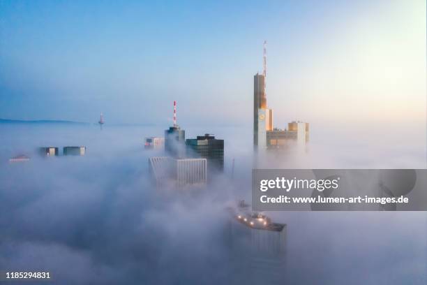 frankfurt am main - skyscrapers sticking out of the fog at sunrise - frankfurt main fotografías e imágenes de stock